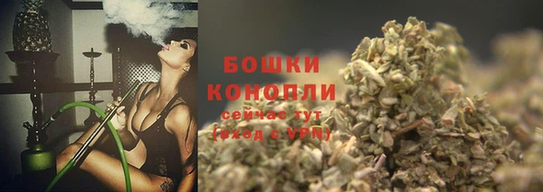 ПСИЛОЦИБИНОВЫЕ ГРИБЫ Навашино
