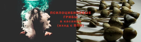 ПСИЛОЦИБИНОВЫЕ ГРИБЫ Навашино