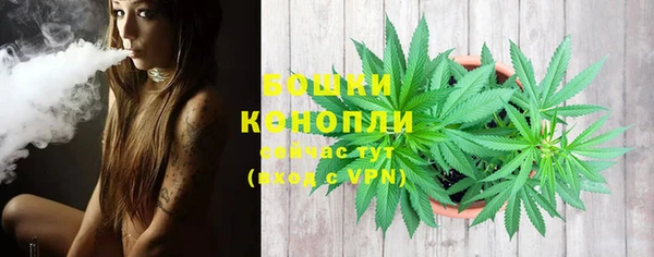 PSILOCYBIN Надым