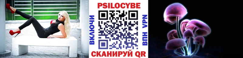 что такое   Балашиха  Галлюциногенные грибы Psilocybine cubensis 